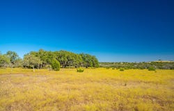 391 Henry P Schmidt Rd, Fredericksburg, TX 78624