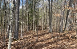 L19.22 Homestead Road, Saratoga Springs, NY 12866