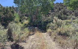 TBD Road G, Cortez, CO 81321