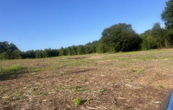 6391 Elevation Road, Benson, NC 27504