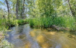1567 Ward Mountain Lane, Hamilton, MT 59840