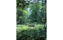 18 Peterson Lane, Brunswick, ME 04011
