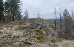 TRACT 2 COWBOYS AND ANGELS AVE, KETTLE FALLS, WA 99141