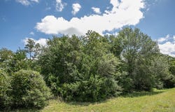 TBD Farm To Market 594, Burton, TX 77835