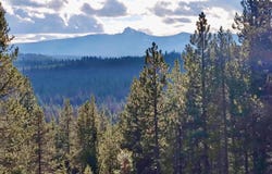 28 Emerald Meadows Way, Crescent Lake, OR 97733