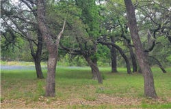 208 Cactus COR, Horseshoe Bay, TX 78657