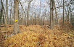 Baker Road, Hopewell Junction, NY 12533