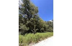 NE 157 Avenue, Williston, FL 32696
