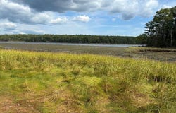 5-F, 4-A Leaches Point Road, Orland, ME 04472