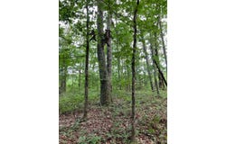 0 Co rd 10, Montevallo, AL 35115