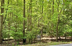 308 Creekside Trail, Ellijay, GA 30540