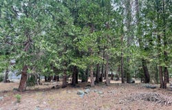 61 Paiute Trail, Graeagle, CA 96103