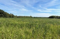 125th Rd lot: D, Sweet Springs, MO 65351