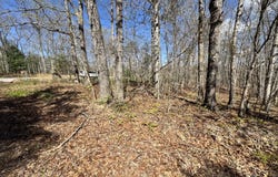 Smith Hall Rd, Jamestown, TN 38556