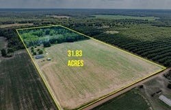 895 Pearson Road, Sylvester, GA 31791