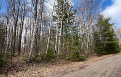 Lot 26 BLACK FOREST RD, Presque Isle, WI 54557