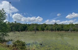 000 Highway 253, Donalsonville, GA 39845