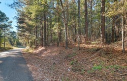 Jimmie Drive, Forest, MS 39074