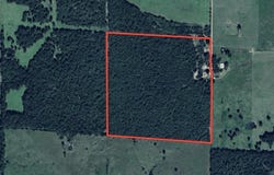 County Road 9640, Koshkonong, MO 65692