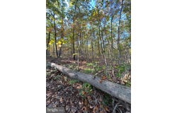 Lot 10,11,12-13 A FOX TRAIL, WINCHESTER, VA 22602