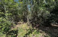 1787 Buddy Johnson, East Dublin, GA 31027