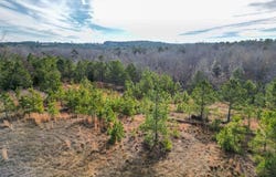 Tbd Athens Church Road, Hallsville, TX 75650
