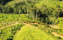 Lot 7 Thayer Road, Trinity, NC 27370