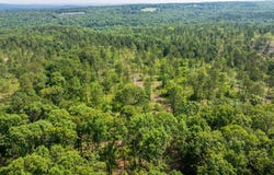 Tract 1 Harmony Mountain Road, Clinton, AR 72031