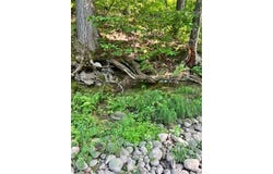 28xxx 89th Avenue, Boyd, WI 54726