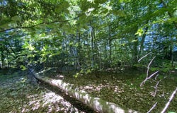 Lot 9 S Club Drive, Cedar, MI 49621