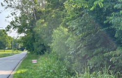 8700  Brushy Fork Road, Tell City, IN 47586