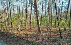19.44 Mt Mcgurder Road, Ellijay, GA 30536