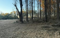 Tract 15 Mt. Zion Road, Gordon, AL 36343