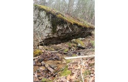 Harper Trail lot: 9, Valley Bend, WV 26293