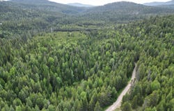 TBD SCHLEGEL RANCH RD, IONE, WA 99139