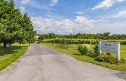 3659 S OX ROAD, EDINBURG, VA 22824
