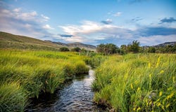 8 W Fork Road, Nye, MT 59061