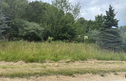 380 W Kistler Rd, Scottville, MI 49454
