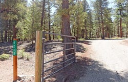 4213 Campfire Road, Hartsel, CO 80449