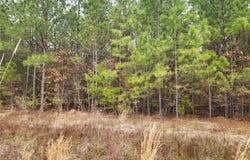 9 Milldale Road, Brookwood, AL 35444