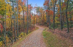 Lot 4 Wilderness Way, Blue Ridge, GA 30513