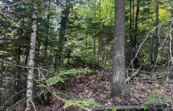 120 Acres Willow Creek, Ishpeming, MI 49849
