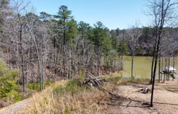 LOT 25 SHORESIDE AT SIPSEY, Double Springs, AL 35553