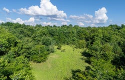 000 E 113th Street South 50 ac, Muskogee, OK 74403