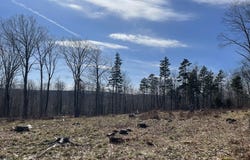 88 Church Rd, Florida, MA 01247