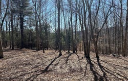 L22.2 Alder Pond Road, Bovina, NY 13740