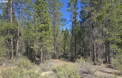 5 mowich St, CrescentLake, OR 97733