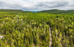 37 Soaring Eagle Trail, Fortine, MT 59918