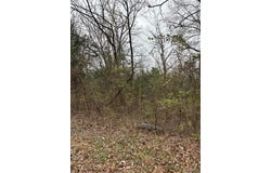 0 28.72 +/- AC, Horine Road, Festus, MO 63028