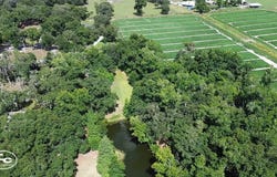 Southwood Oaks St, Lithia, FL 33547